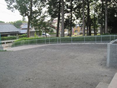 fence2.jpg